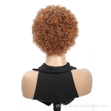 XCCOCO Short Jerry Curl Wigs Pixie Cut Brazilian Remy Human Hair Wigs For Black Woman Human Hair Lace Front Wigs